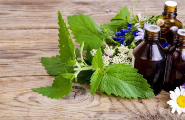 Farmasötik tentür, koyu tıbbi şişede otlar özü