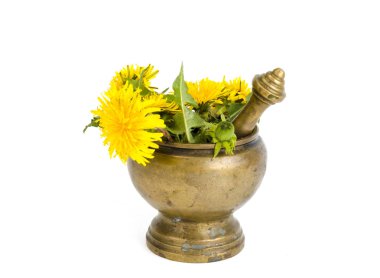 Harçta şifalı bitki. Alternatif tıp. 