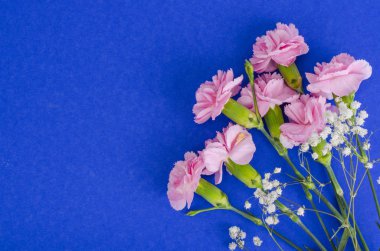 Birkaç taze pembe karanfil. Fotoğraf