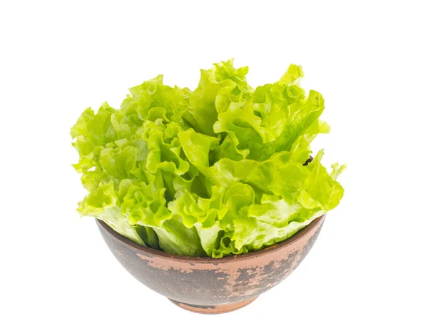 Свежие зеленые листья салата в глиняной чаше . — стоковое фото