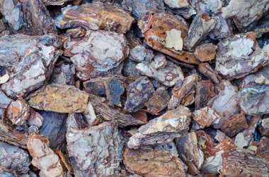 Bahçe tasarımı için ağaç kabuğu parçalarıdekoratif arka plan.