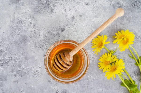 Aromatic flower honey, wild flowers on gray background.