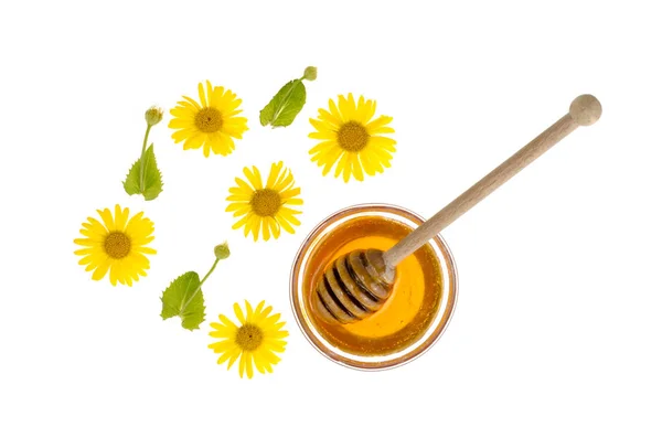 Transparante zoete bloem honing in glas vorm. — Stockfoto
