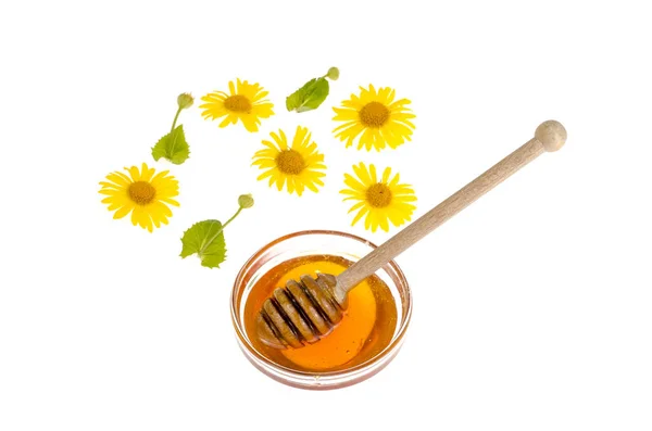 Transparent sweet flower honey in glass form. — Stock Photo, Image