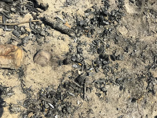 Extinct bonfire, charred branches, ash. — Stock Photo, Image