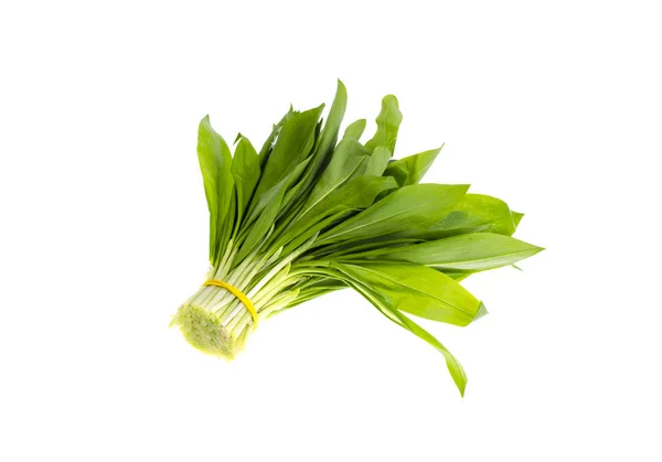 Baunch av färsk grön Allium ramslök — Stockfoto
