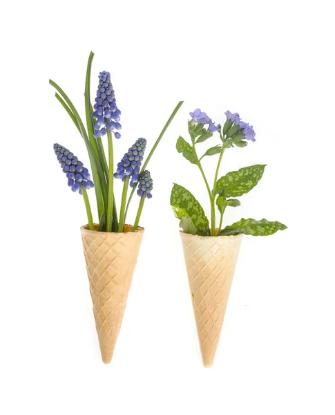 Vacker liten blå trädgård och vilda blommor. — Stockfoto