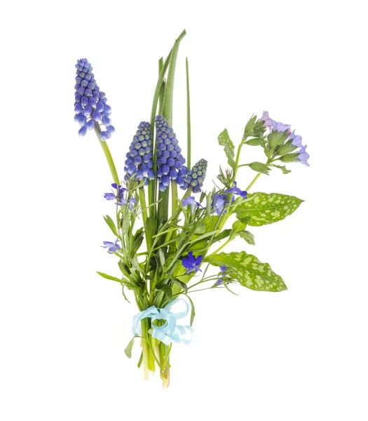 Schöner kleiner blauer Garten und wilde Blumen. — Stockfoto