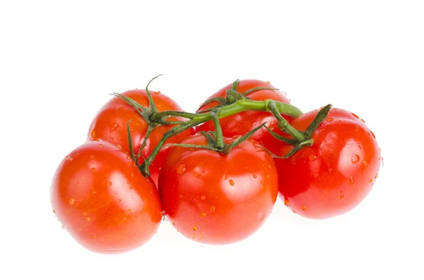 白い背景に分離された赤い熟したバイオトマトの枝. — ストック写真