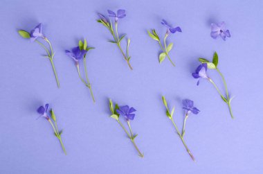 Mavi çiçek küçük buket ile parlak arka plan.