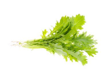 Taze hardal yaprağı beyaz izole. Fotoğraf