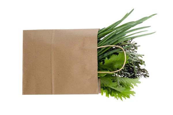 Verduras frescas en bolsa de papel sobre blanco — Foto de Stock