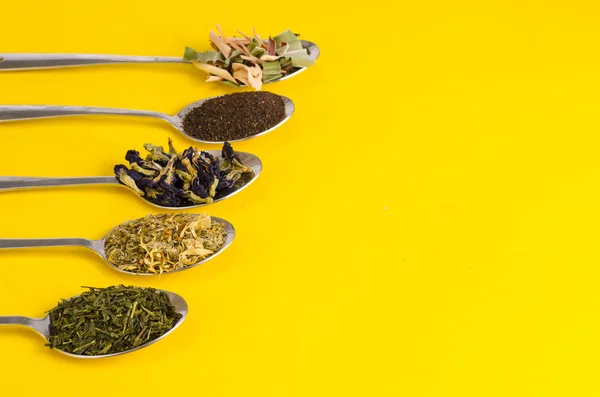 Leaves of different varieties of tea in spoons — Stock Photo, Image