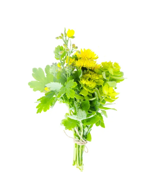 Bund gelber Wildblumen. Studioaufnahme — Stockfoto