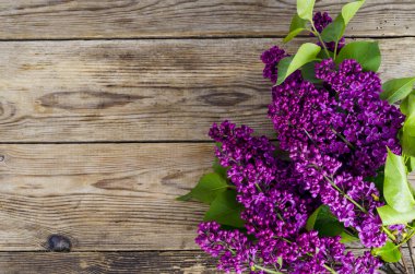 Eski vintage ahşap arka plan üzerinde güzel leylak