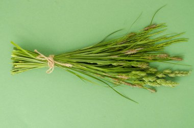 Parlak arka planda yabani otlar Demet. 