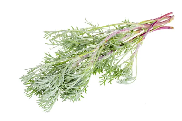 Plantes médicinales, herbes isolées sur fond blanc . — Photo