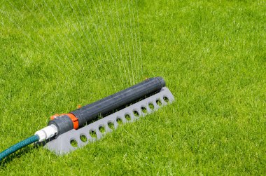 Sulama sistemi, yeşil çim çim üzerinde su spaying sprinkler