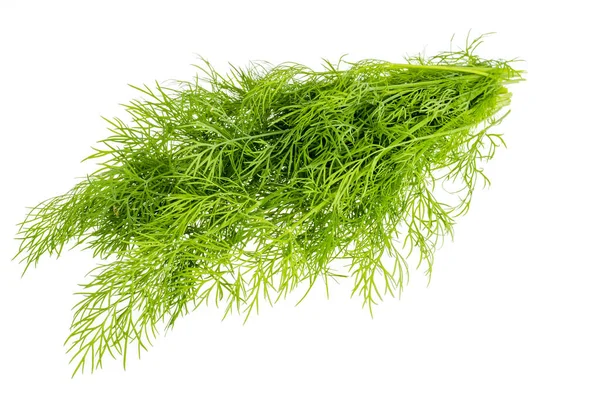 Bunch of fresh green dill isolated on white background. — Stock Photo, Image