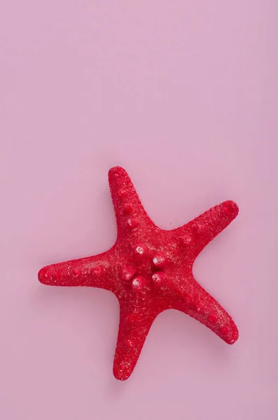 Sušené červené hvězdě růžové. Foto — Stock fotografie