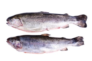 Gutted gökkuşağı alabalığı, beyaz izole