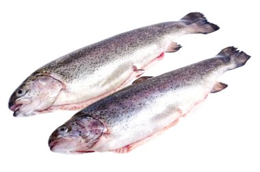 Gutted gökkuşağı alabalığı, beyaz izole