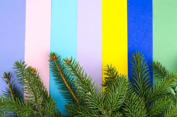 Ramas de abeto sobre papel brillante, diseño navideño —  Fotos de Stock