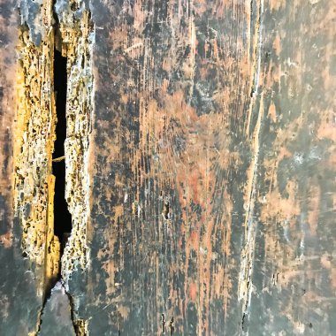 eski ahşap hasarlı yüzey