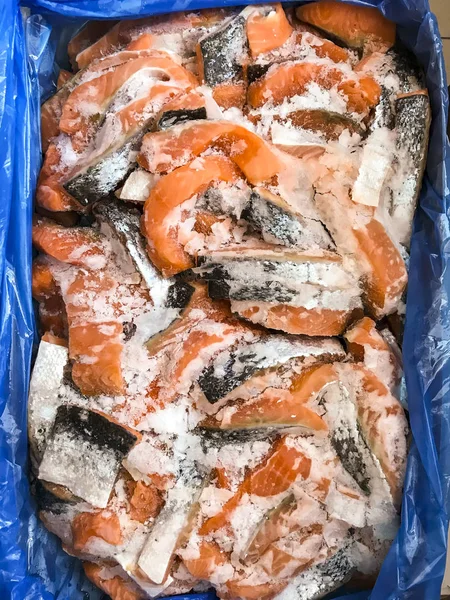 Frozen salmon in ice