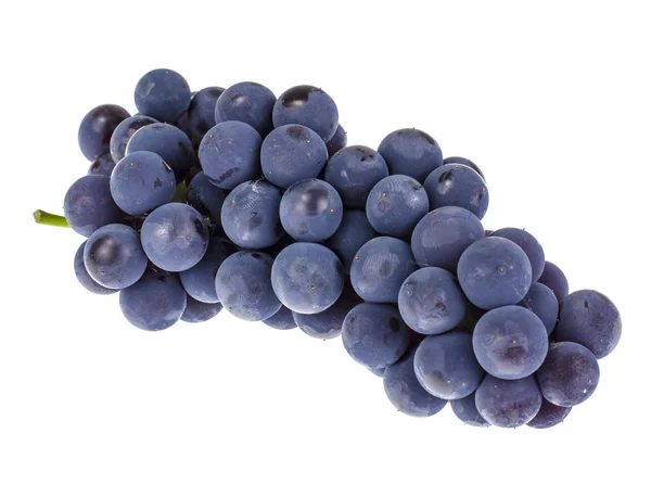 Traube blauer Trauben auf weißem Hintergrund — Stockfoto