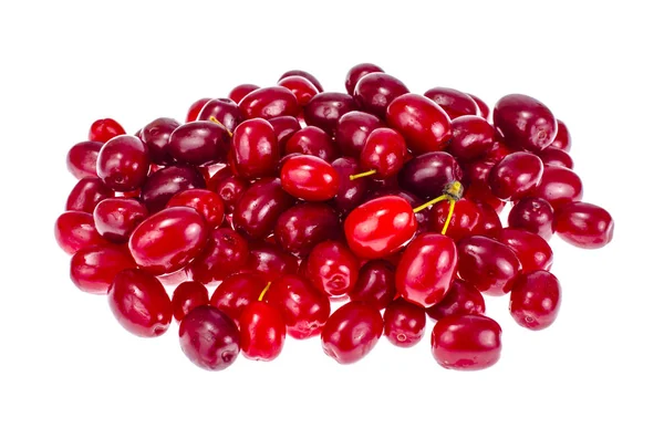 Czerwone dojrzałe jagody Cornus mas — Zdjęcie stockowe