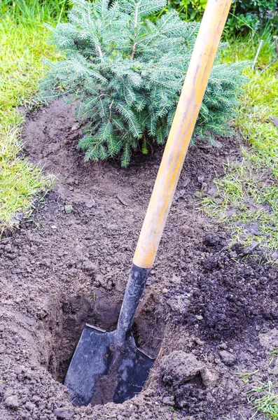 Shovel, digging holes in ground, working in garden