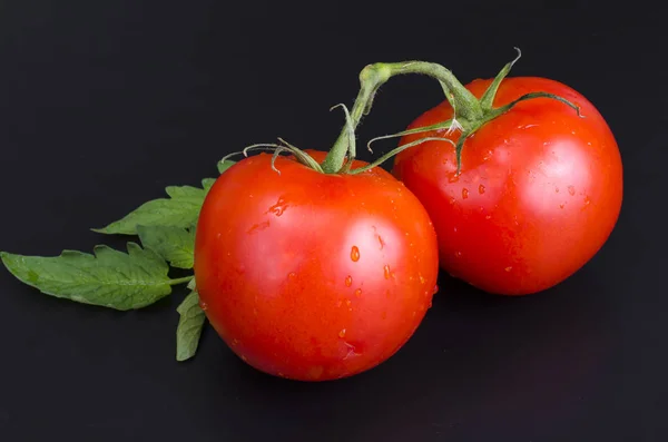 Red ripe tomatoes with water droplets on black background — Stock Photo, Image
