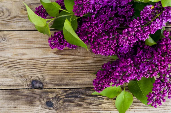 Eski vintage ahşap arka plan üzerinde güzel leylak