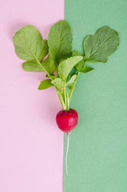 Tabakta kırmızı turp. Vejetaryen gıda kavramı, düzeni, menü. 