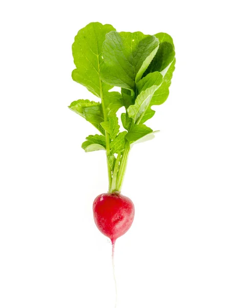 En färsk röd rädisor med gröna blad isolerade på vit bakgrund. — Stockfoto