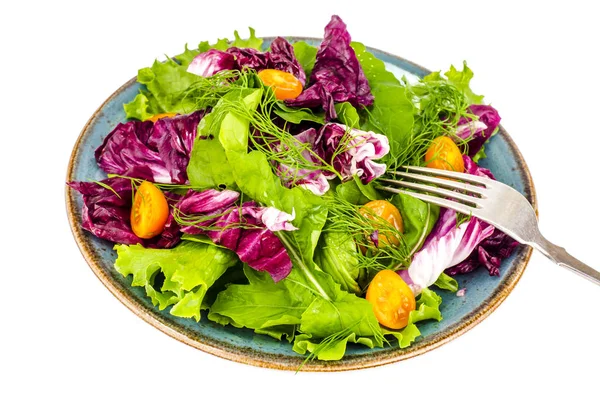 Υγιεινή διατροφή, Χορτοφαγική σαλάτα — Φωτογραφία Αρχείου