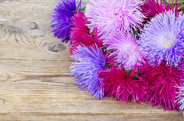 Цветы осени разноцветные на деревянном фоне
