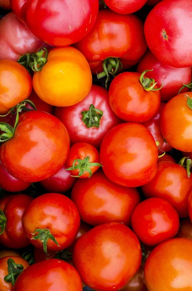Olgun domates yaratıcı sebze arka plan, metin için yer. — Stok fotoğraf
