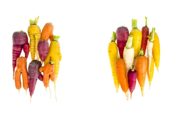 Ugly, deformed fresh organic carrots different color — Stock Photo, Image