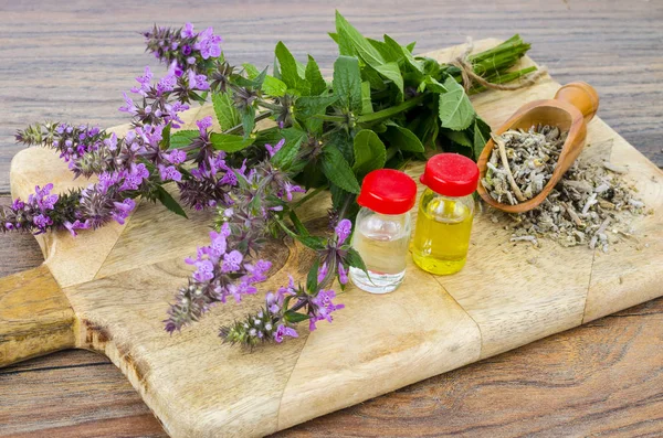 Tintura farmacéutica, extracto de hierbas silvestres, flores medicinales en botellas médicas —  Fotos de Stock