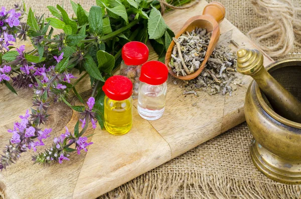 Фармацевтическая настойка, экстракт диких трав, лечебные цветы в медицинских бутылках — стоковое фото