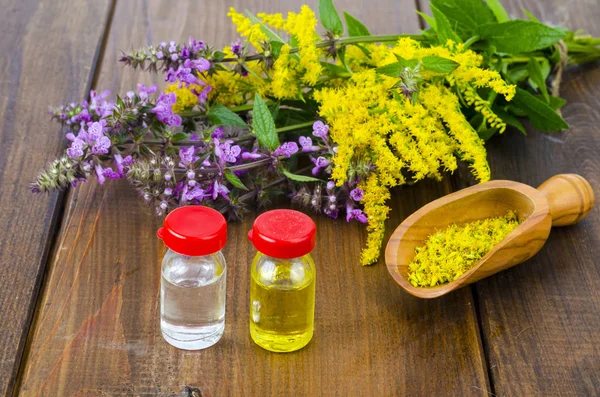 Tintura farmacéutica, extracto de hierbas silvestres, flores medicinales en botellas médicas —  Fotos de Stock