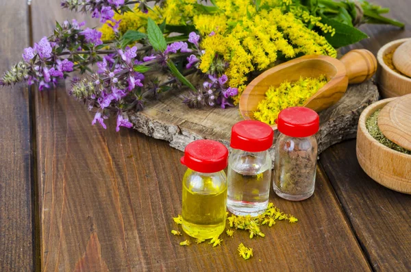 제약 팅크, 야생 허브 추출물, 의료 용 병에 있는 약용 꽃 — 스톡 사진