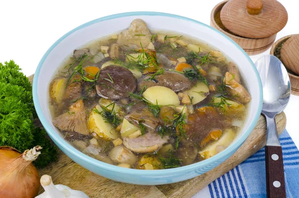 Delicious seasonal wild mushroom soup. Studio Photo — Stock Image Delicious seasonal wild mushroom soup. Studio Photo Stock Picture