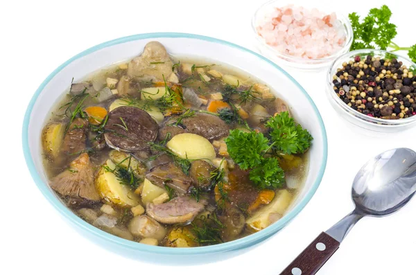 Delicious seasonal wild mushroom soup. Studio Photo — Stock Image Delicious seasonal wild mushroom soup. Studio Photo Stock Picture