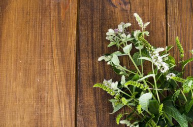 Nane. Çiçek li nane otu yakın.