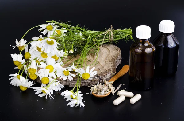 Herbal capsules and tinctures from medicinal plants. — Stock Photo, Image