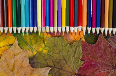 Okul eşyaları ve öğrenci aksesuarları. Stüdyo Fotoğraf