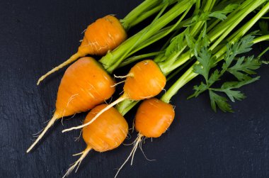 Siyah arka plan üzerinde Organik çiftçi taze havuç.